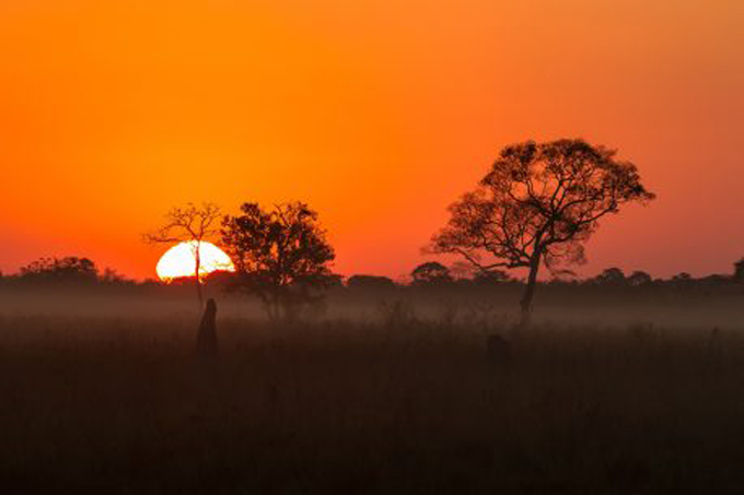 24BrasiletramontoPantanal