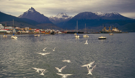 Baia di Ushuaia16